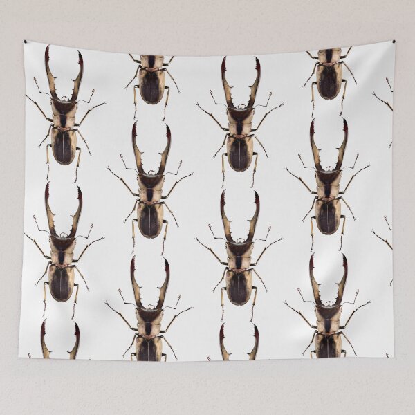 Item preview, Stag beetle (Cyclommatus metallifer) designed and sold by Tim Christensen.