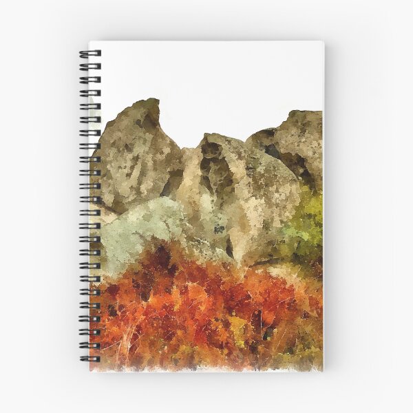 Item preview, Arzachena: rock designed and sold by Giuseppe Cocco.