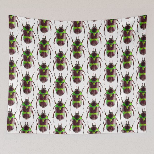 Item preview, Scarab beetle (Mystroceros rouyeri cetoniinae) designed and sold by Tim Christensen.