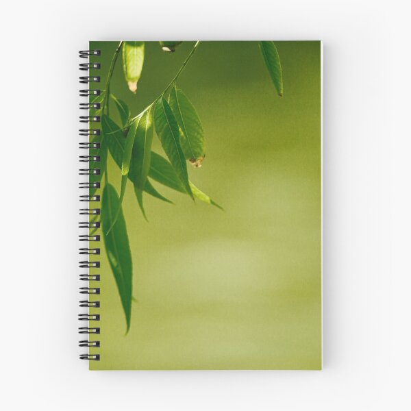 Item preview, Fresh green willow leaves designed and sold by LorandQuest.