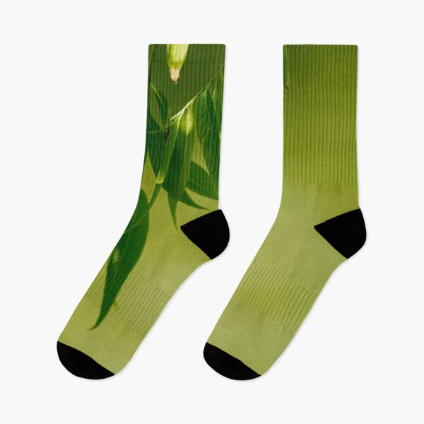 Item preview, Fresh green willow leaves designed and sold by LorandQuest.