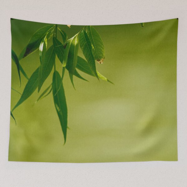 Item preview, Fresh green willow leaves designed and sold by LorandQuest.
