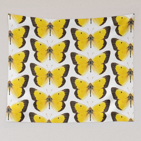 Item preview, Orange Sulfur Butterfly designed and sold by Tim Christensen.