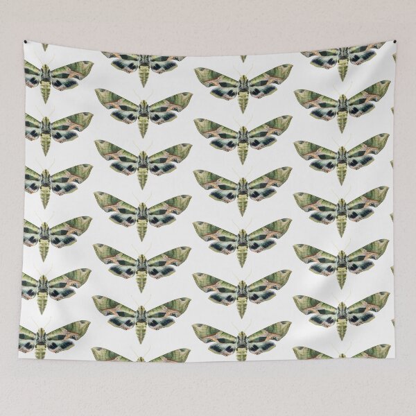 Item preview, Pandorus Sphinx Moth designed and sold by Tim Christensen.