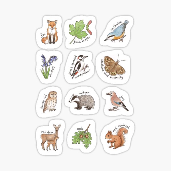 British Woodland Wildlife Sticker