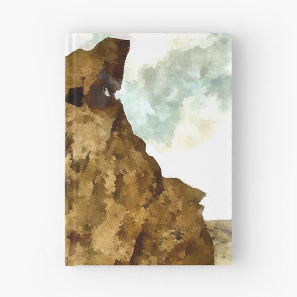 Item preview, Arzachena: rock designed and sold by Giuseppe Cocco.