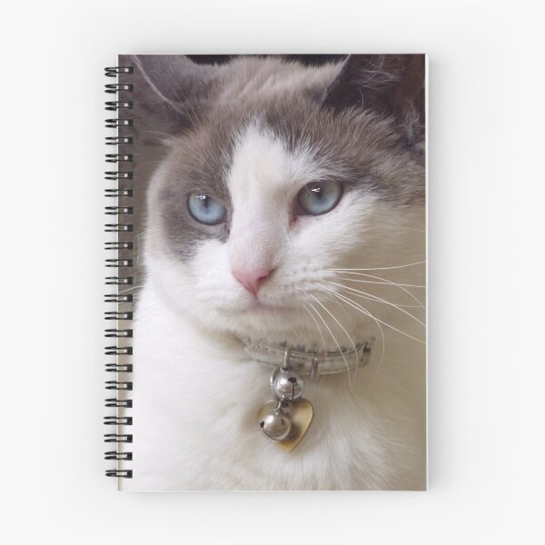 Item preview, Cute but Spoiled designed and sold by webster7.