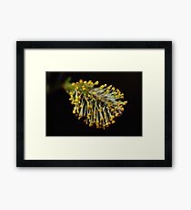 April Flowers Framed Print