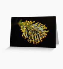 April Flowers Greeting Card