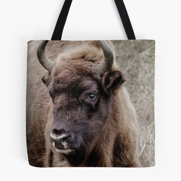 Item preview, European bison portrait designed and sold by Melissa Peltenburg.