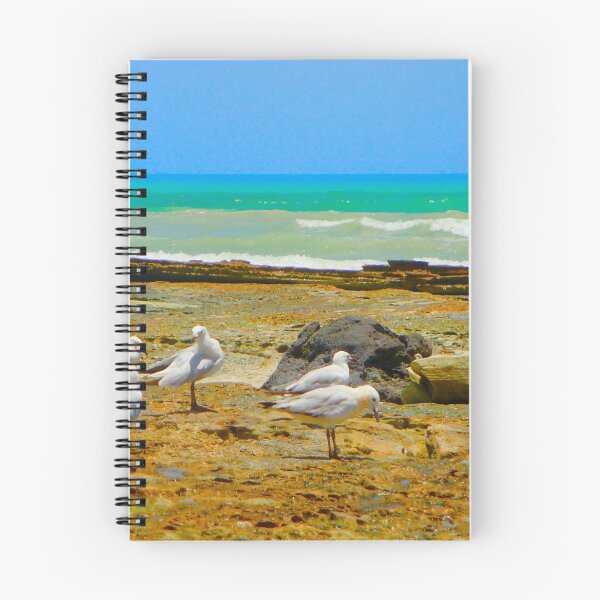 Item preview, Birds on the Beach designed and sold by Anthony Macaluso.