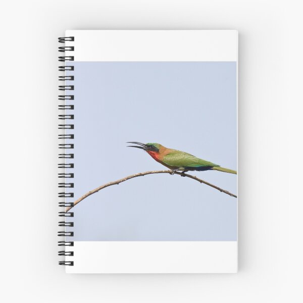 Item preview, Red-throated Bee-eater about to fly designed and sold by Sue Robinson.
