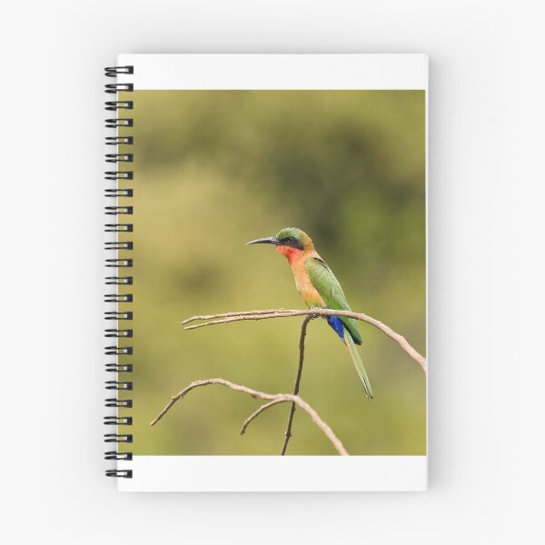 Item preview, Red-throated Bee-eater with green background designed and sold by Sue Robinson.