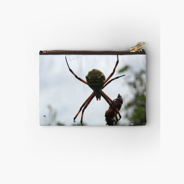 Item preview, Orb Weaver Spider and Beetle designed and sold by rhamm.