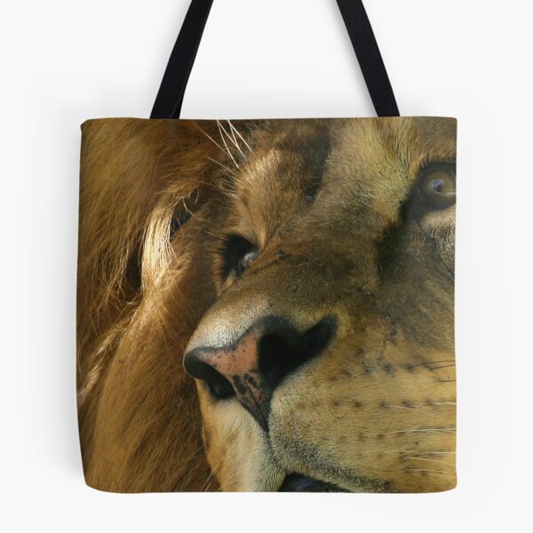 Item preview, Lion head close-up designed and sold by Melissa Peltenburg.