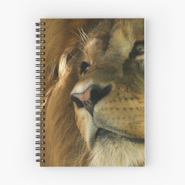 Item preview, Lion head close-up designed and sold by Melissa Peltenburg.