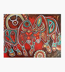 Two Bulls Photographic Print