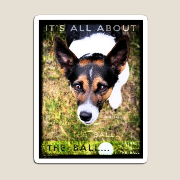 Terrier Obsession: It's All About The Ball Magnet