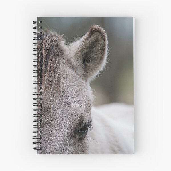 Item preview, Konik horse portrait designed and sold by Melissa Peltenburg.