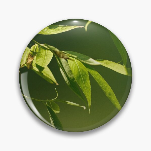 Item preview, Fresh green willow leaves designed and sold by LorandQuest.