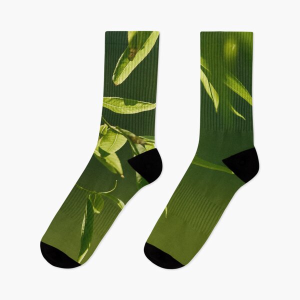 Item preview, Fresh green willow leaves designed and sold by LorandQuest.