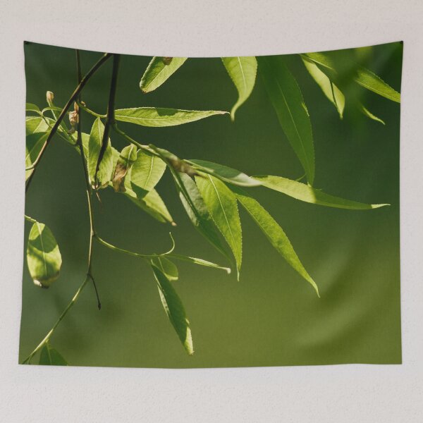 Item preview, Fresh green willow leaves designed and sold by LorandQuest.