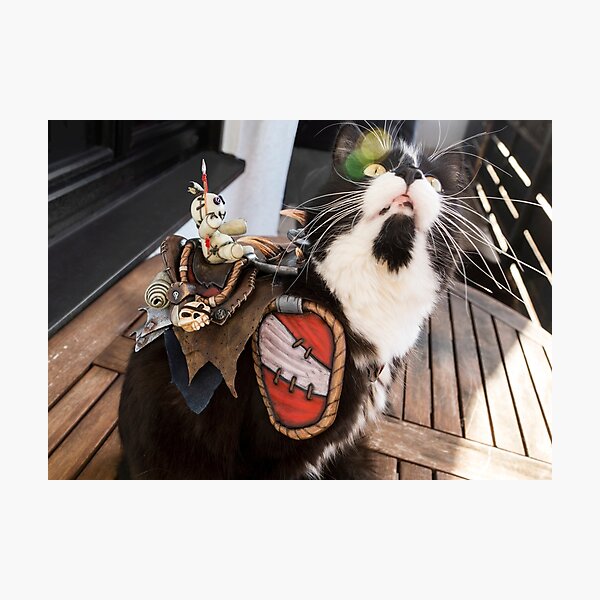 Boober, the Vicious War Cat (Cat Cosplay) Fotodruck