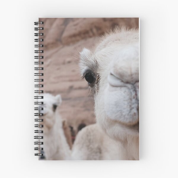 Item preview, Two funny camels designed and sold by Melissa Peltenburg.