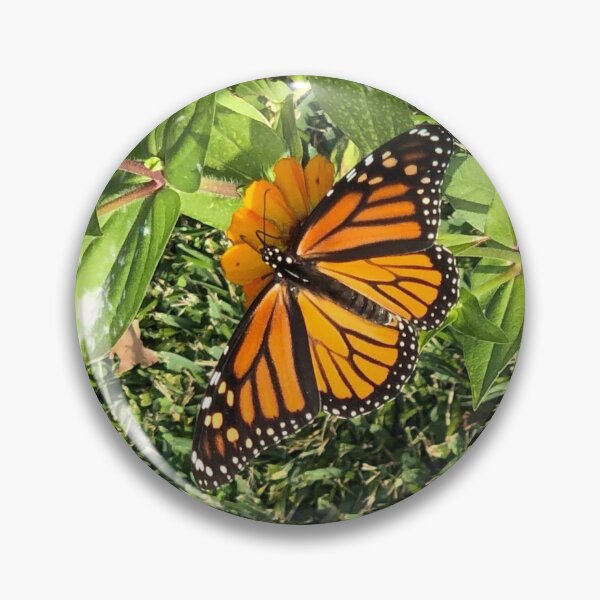 Item preview, Butterfly designed and sold by BYHS.