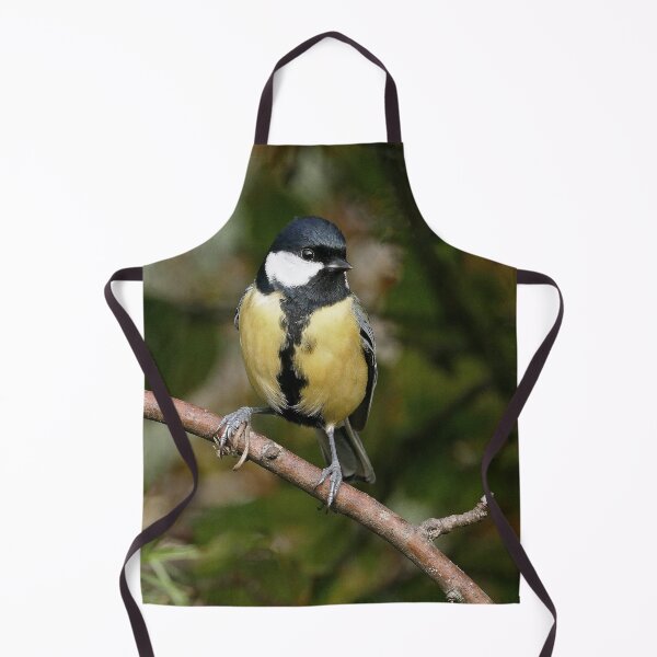 Item preview, r2658/ New Finition - 2021 - mésange (c)(t) Olavia-Olao Okaio Créations designed and sold by o.okaïo.