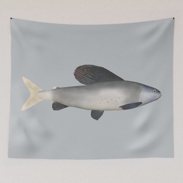 Item preview, East Siberian Grayling designed and sold by fishfolkart.