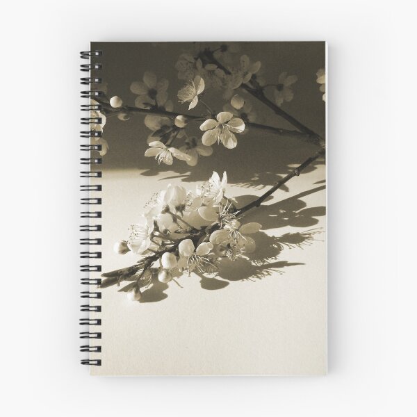 Item preview,  Flowering Cherry Tree Blossom Brown Tint Photographic Image Art Artist Jenny Meehan  designed and sold by Jenny Meehan Art Prints and Patterns  .