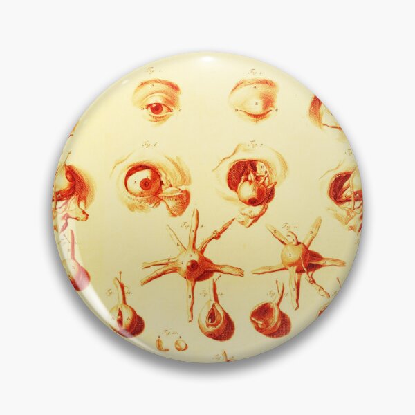 Item preview, Antique Anatomical Study ,Dissection of the Eye and Socket In Brown Sepia designed and sold by BulganLumini.