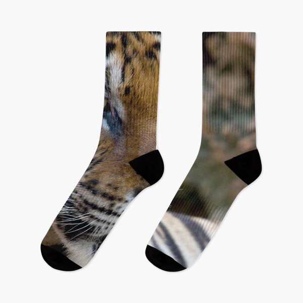 Item preview, Bengal tiger close-up designed and sold by Melissa Peltenburg.