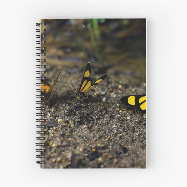 Aperçu de l'œuvre Papillon créée et vendue par Filipe Crepaldi.