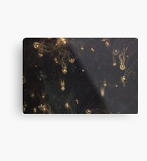 constellation Metal Print