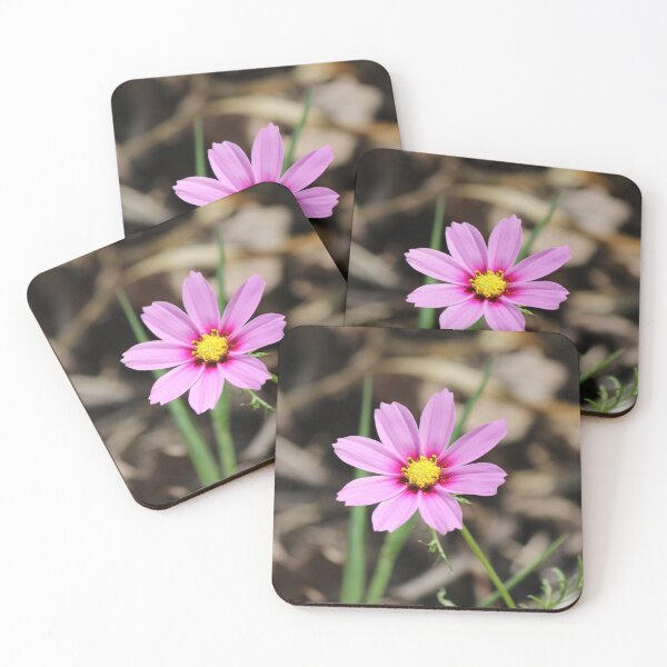 Artikelvorschau, Rosa Kosmosblume entworfen und verkauft von LisaNaturePhoto.
