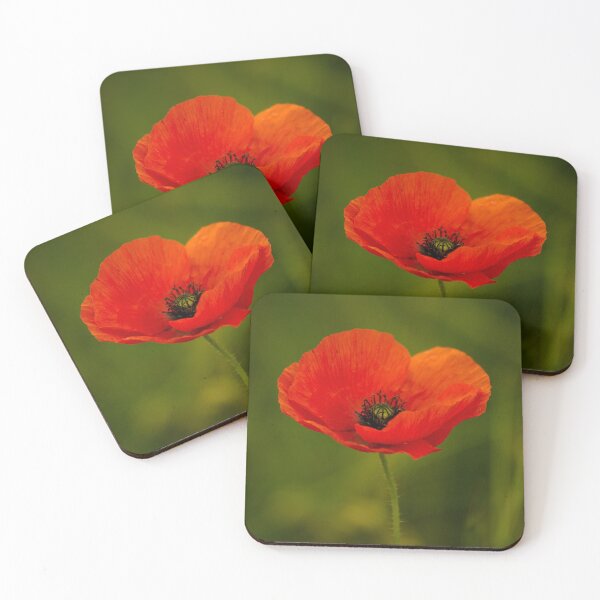 Item preview, Poppy designed and sold by Matt Sillence.