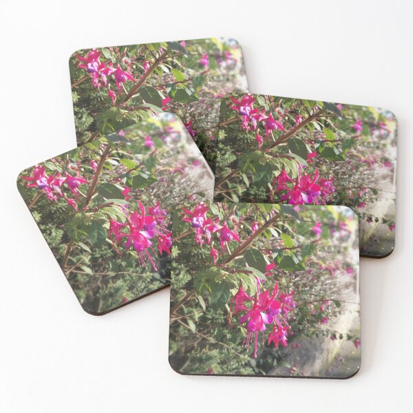 Item preview, Fuchsia designed and sold by Hazel Meades.