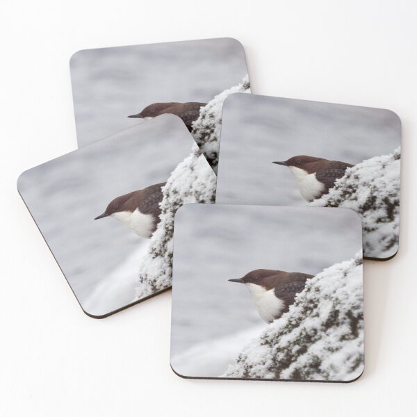 Item preview, The profile. White-throated dipper designed and sold by Jouko Lehto Photography.