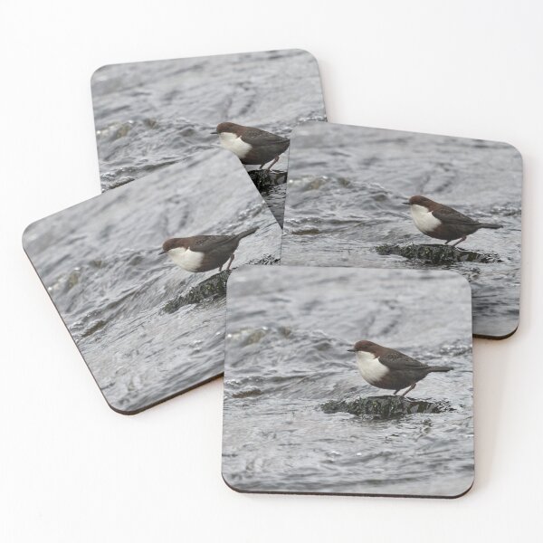 Item preview, That's cool. White-throated dipper designed and sold by Jouko Lehto Photography.
