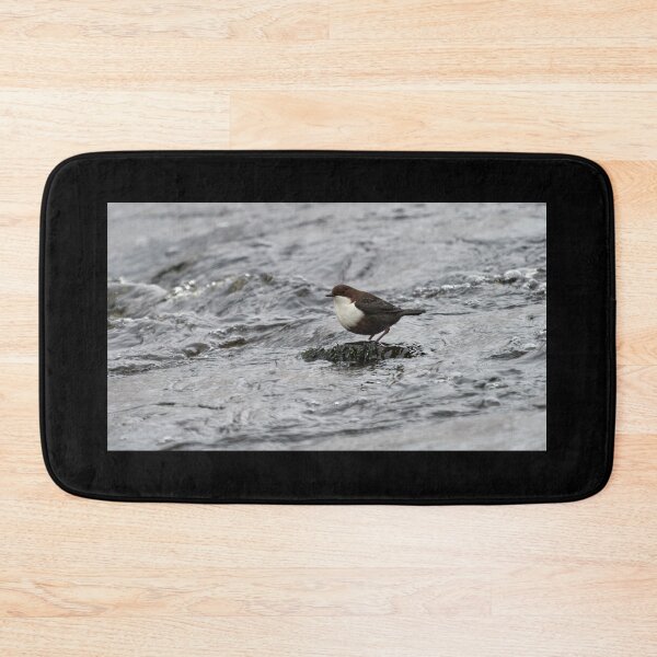 Item preview, That's cool. White-throated dipper designed and sold by Jouko Lehto Photography.