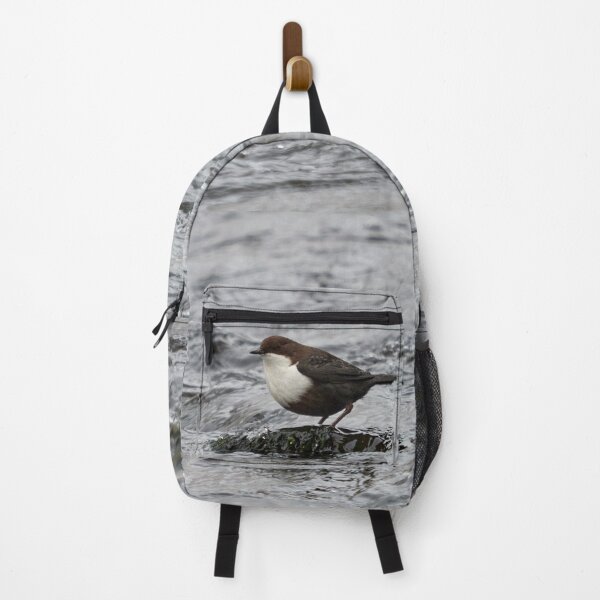Item preview, That's cool. White-throated dipper designed and sold by Jouko Lehto Photography.