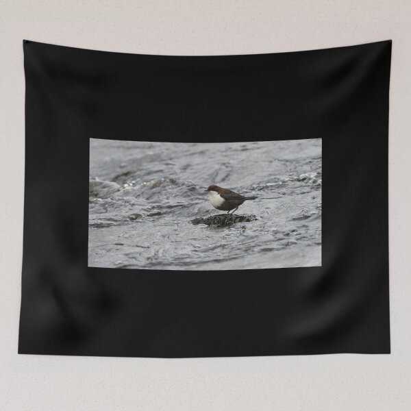 Item preview, That's cool. White-throated dipper designed and sold by Jouko Lehto Photography.