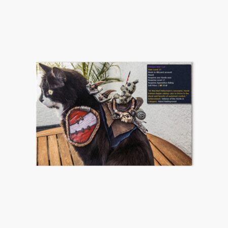 Boober, the Vicious War Cat (Cat Cosplay) - Tooltipp Galeriedruck