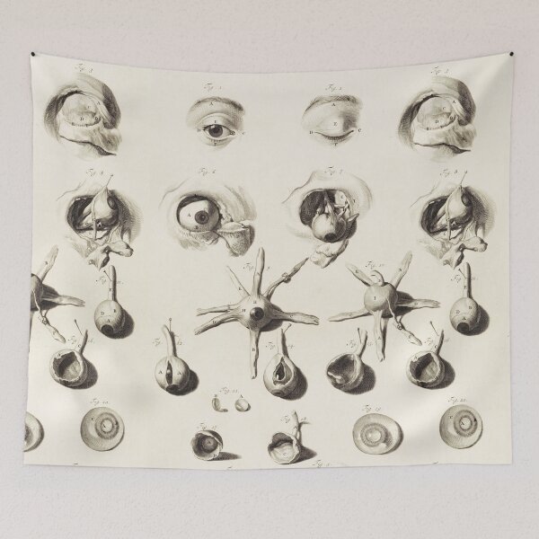 Item preview, Antique Anatomical Study ,Dissection of the Eye and Socket In Black White designed and sold by BulganLumini.