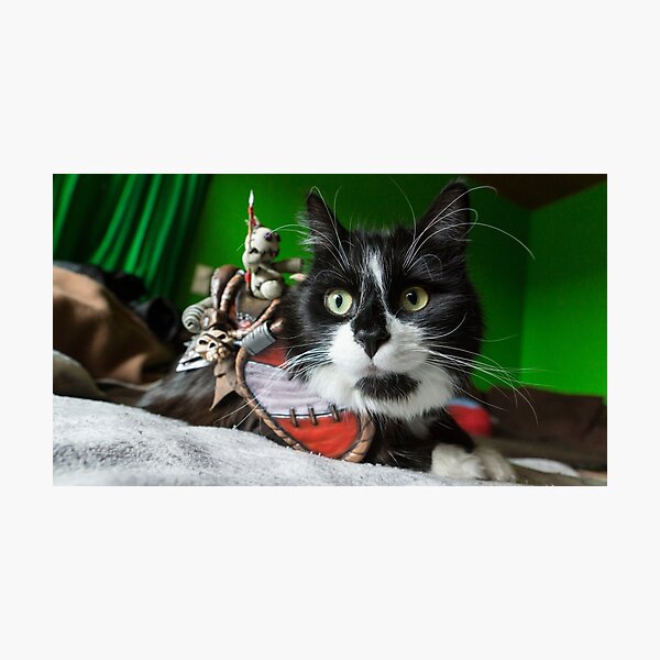 Boober, the Vicious War Cat (Cat Cosplay) - Green Fotodruck