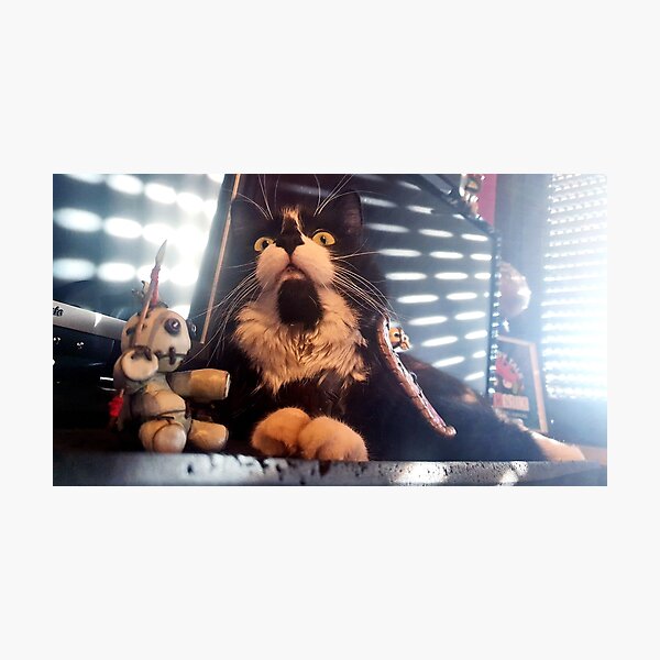 Boober, the Vicious War Cat (Cat Cosplay) - Epic Fotodruck