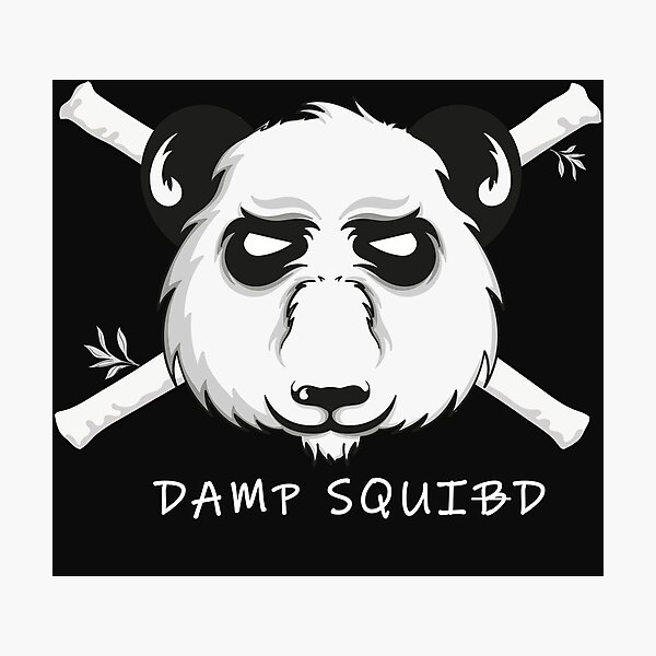 Damp Squid Photographic Print