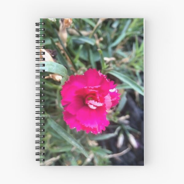 Item preview, Pink Bloom designed and sold by Vanessa Mc Gregor.